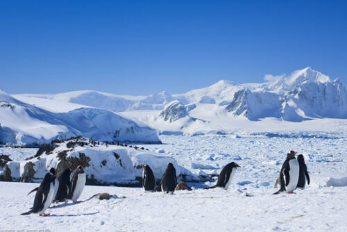 Familierondreis-Antarctica2