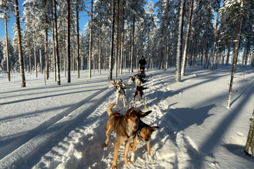 Finland-met-tieners-ervaring-winter
