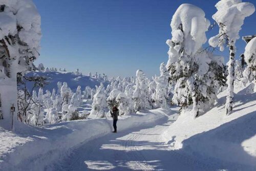 Finland-skigebied