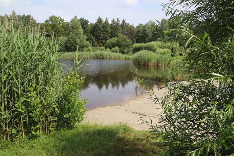 De omgeving van het park