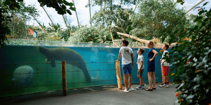 Leukste-dierentuinen-voor-tieners-Burger-Zoo