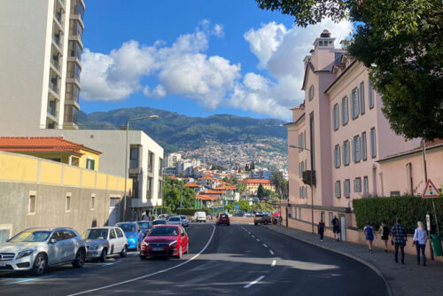 Madeira-met-tieners-bergen