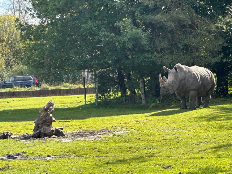 Givskud Zoo met tieners