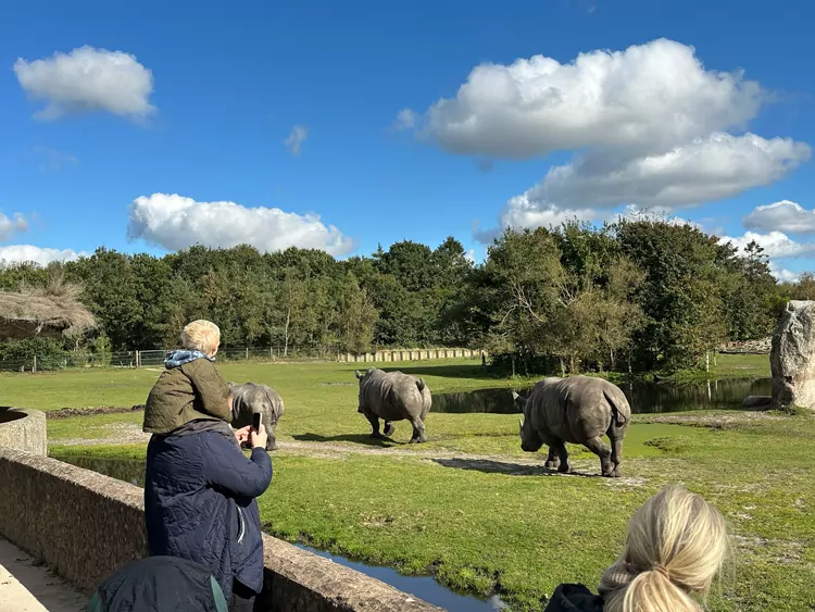 Givskud Zoo in Billund met kinderen