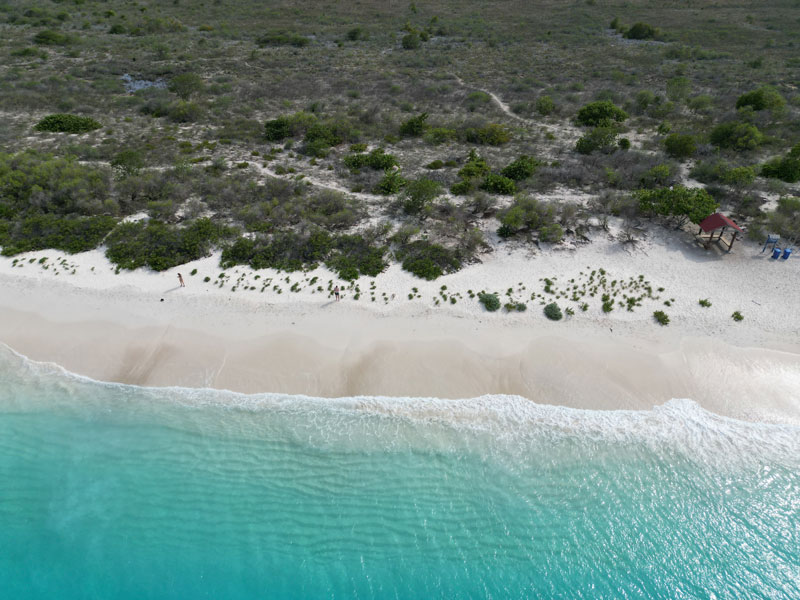 Klein Bonaire met tieners