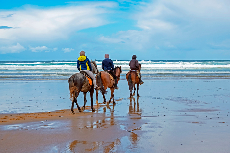 Paardrijvakantie in Portugal met tieners