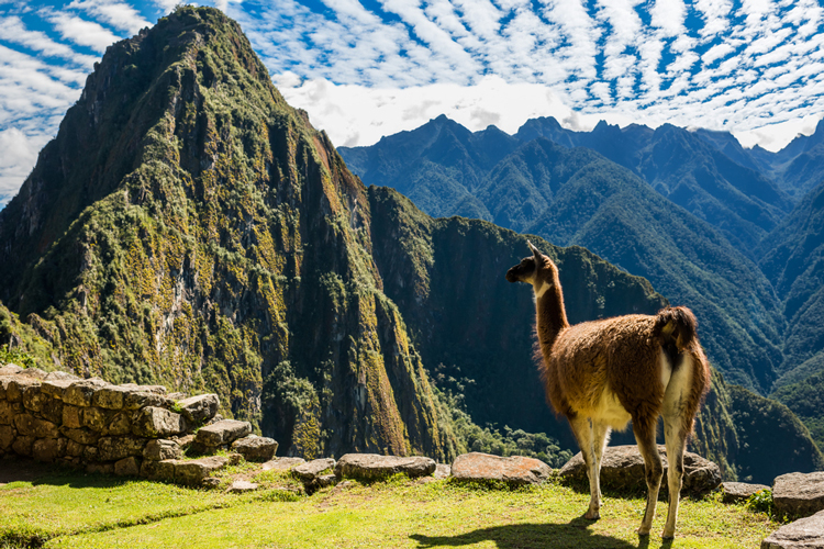 Naar Peru met tieners