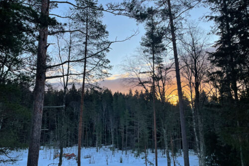 winter-finland-nuuksio-ervaring-polku-resort-uitzicht