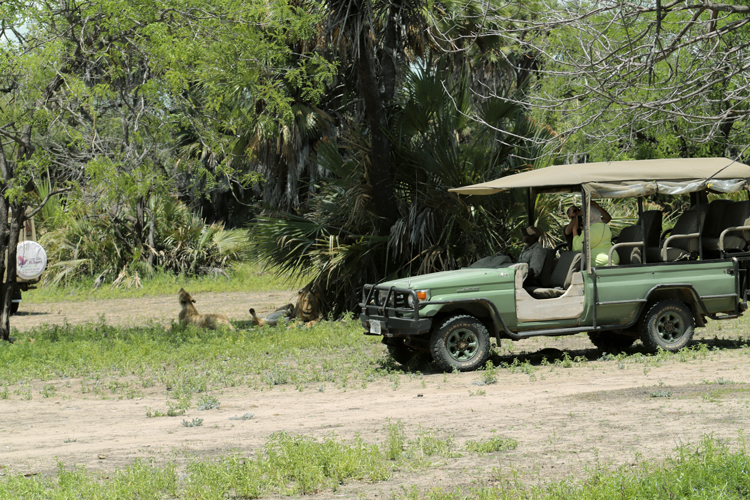 Met tieners op vakantie naar Tanzania en Zanzibar